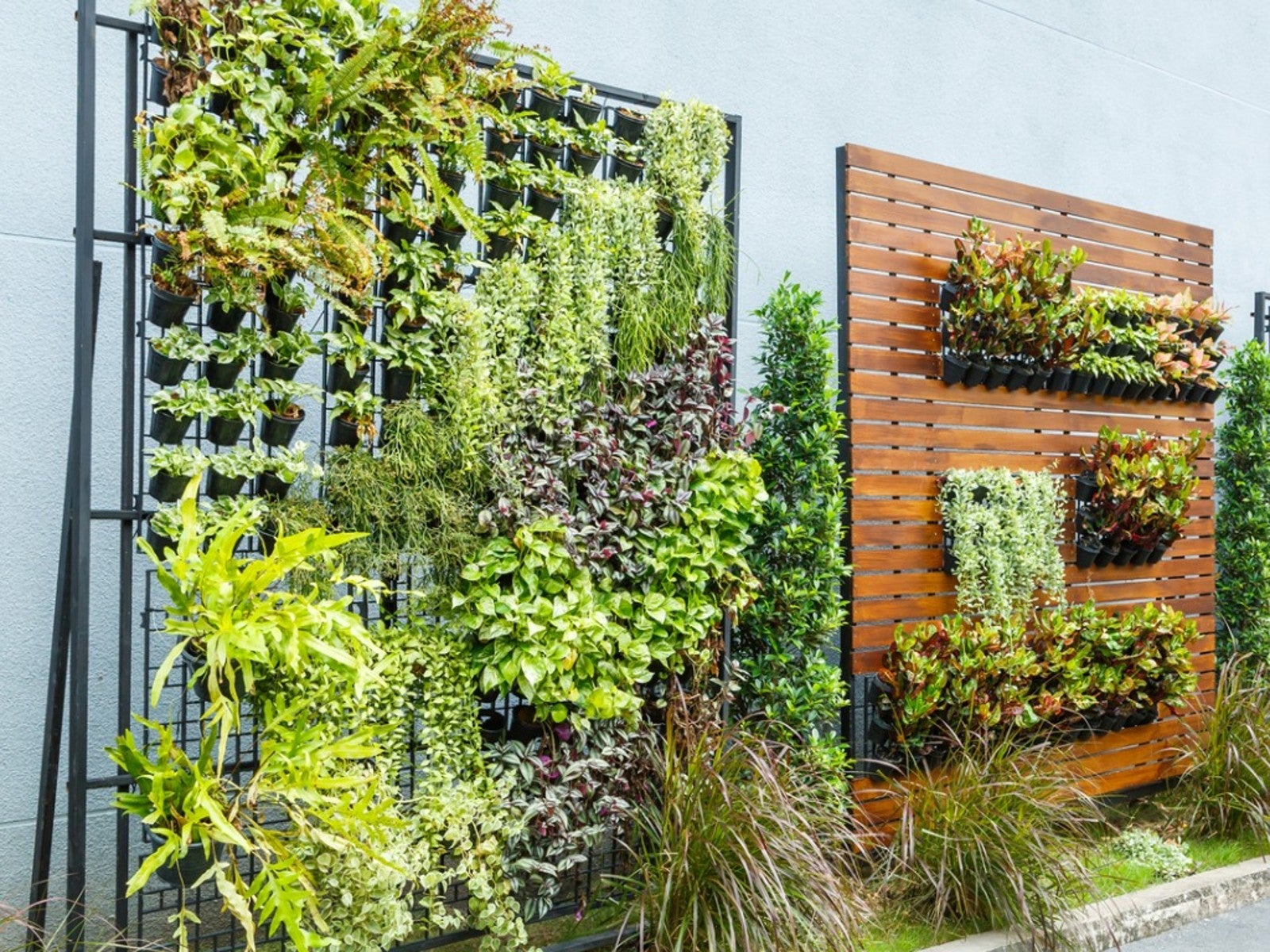 The Anthony Robins Guide To Outdoor Wall Planters