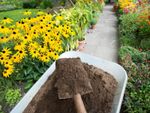 A shovelful of compost is held above a wheelbarrow on a path between beds of colorful flowers