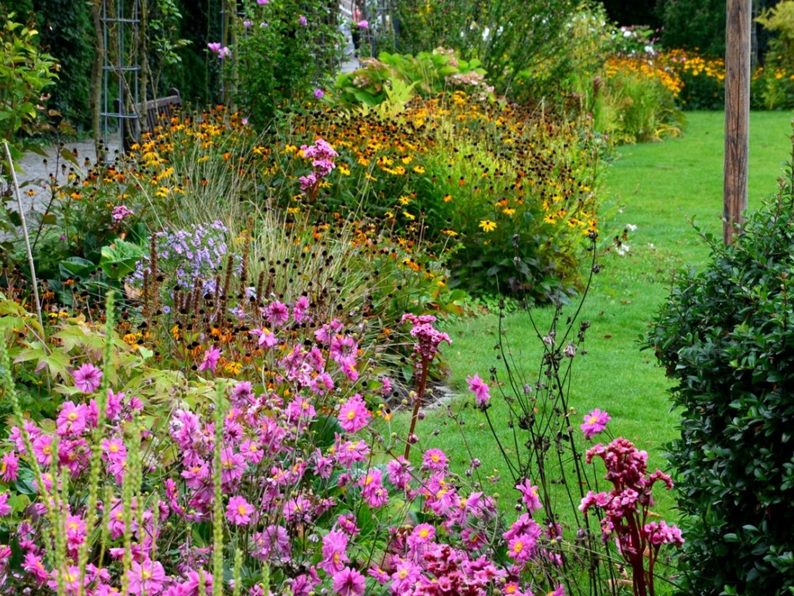 Colorful flowerbeds in orange and pink