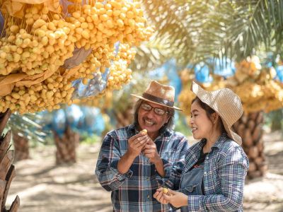 A man and woman stand under a date palm holding a date and smiling