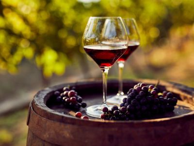 Two glasses of red wine and grapes sit on a barrel with grapevines in the background