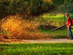 A man uses a leaf blower on fall leaves