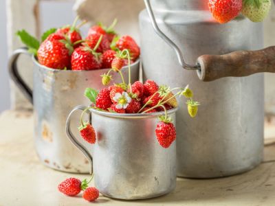 Wild strawberries in a metal cup