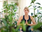 A blonde woman meditates in a room full of plants