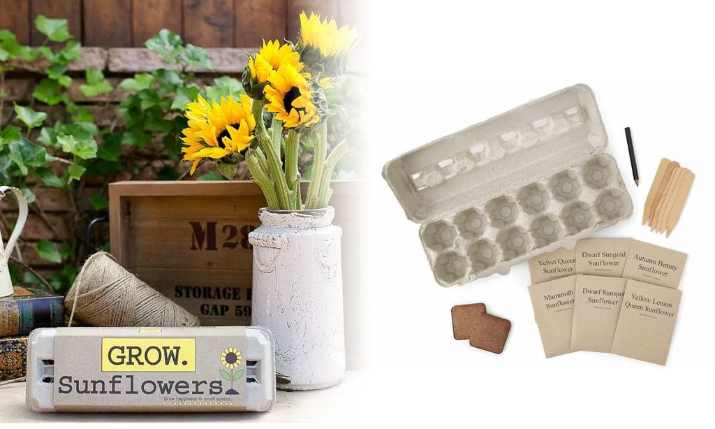 An egg carton with soil packs, seed packs, and markers, alongside a vase of sunflowers.