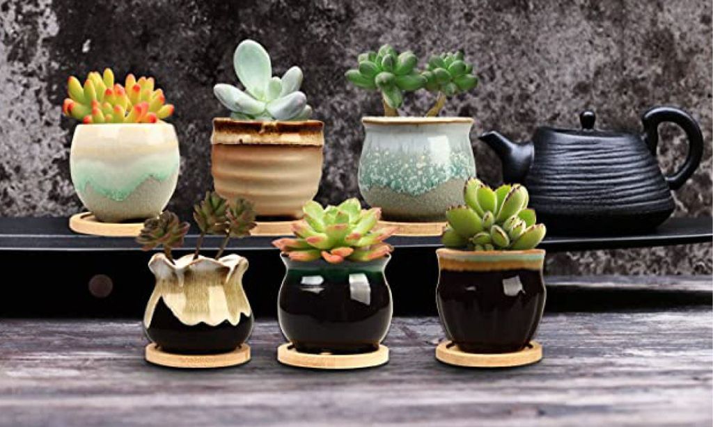 Six succulent pots, each with different hand painted designs.