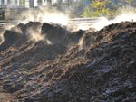 Steam rises from a large pile of brown bark mulch