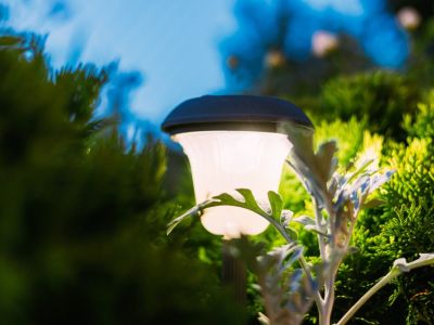 A glowing lamppost surrounded by leaves