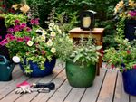 Many containers of flowers sit on a wooden patio