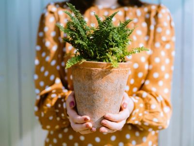 A woman in a yellow polka dot shirt holds a potted fern out toward the camera