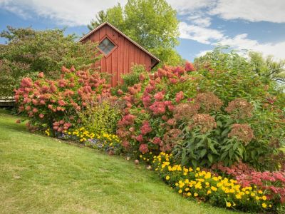 A beautiful hedge of many flowering shrubs separates a grassy lawn and a small red building