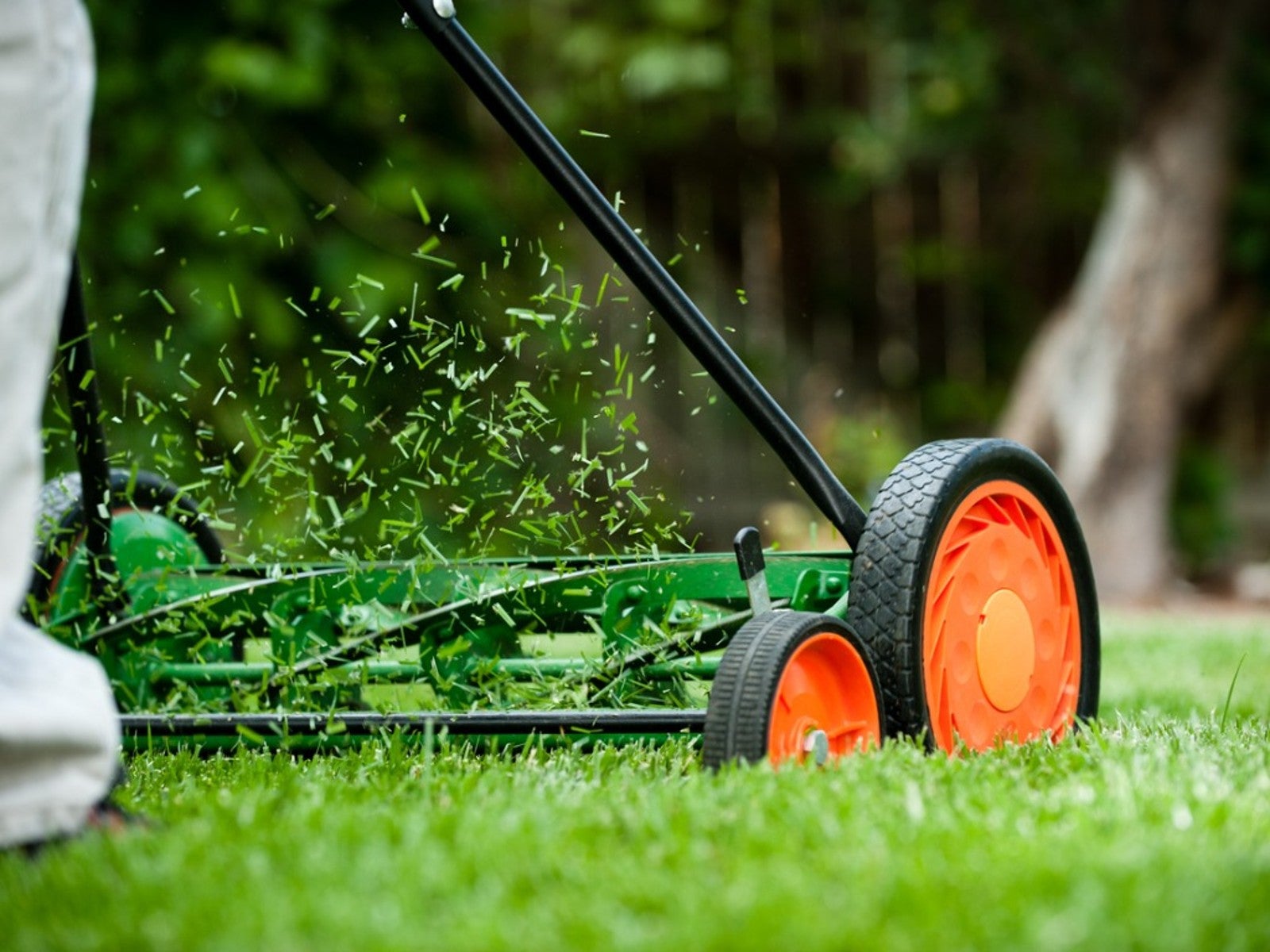 A green push mower with orange wheels moves along a lawn and shoots up cut blades of grass