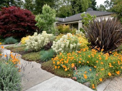 The front yard of a house filled with beautiful flowering plants