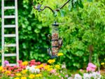 Several birds eating at a tubular bird feeder hanging over a brightly colored flower garden