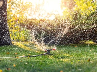 A sprinkler sprays water on a lawn in beautiful late afternoon sunlight