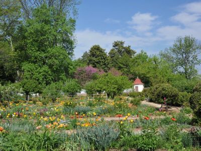 A beautiful blooming garden at Mt. Vernon
