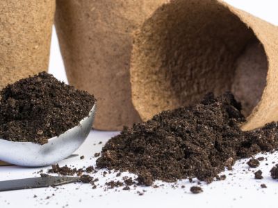 Soil spills out of a tipped-over biodegradable seedling pot