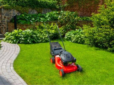 A red lawnmower on a grassy lawn bordered by shrubs