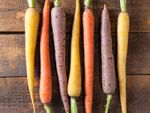 Multi colored carrots on a wooden surface