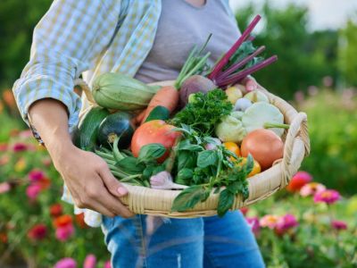 A woman walks through a garden with a basket of fresh vegetables