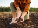 A woman kneels in a field of tilled earth holding out soil in her palms
