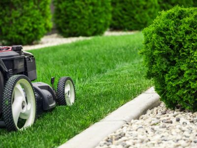 A lawn mower cuts grass between beds of gravel and shrubs