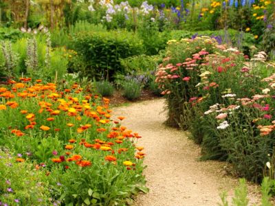 A dirt path surrounded by colorful flowers