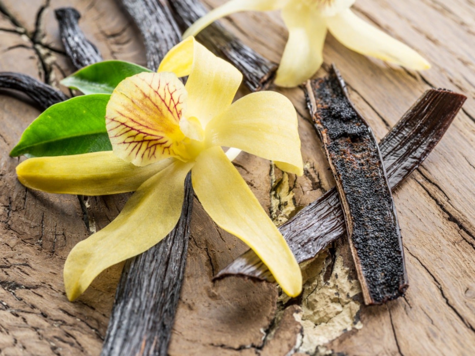 A vanilla orchid and dried vanilla beans