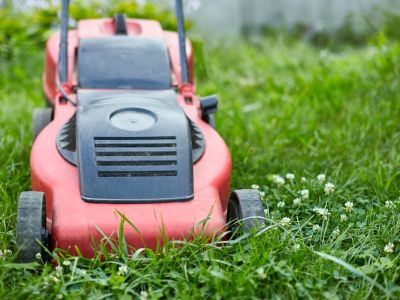A red and black lawnmower on a grassy lawn