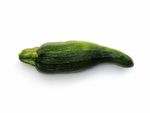 A deformed zucchini with a small pointed bottom