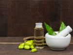 Neem berries, leaves, and stems with a mortar and pestle and small bottle of neem oil