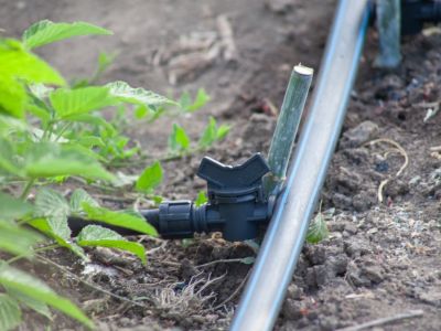 Close up of a drip irrigation pipe in a garden