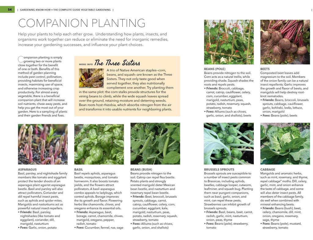 A two page spread of vegetables entitled Companion Planting