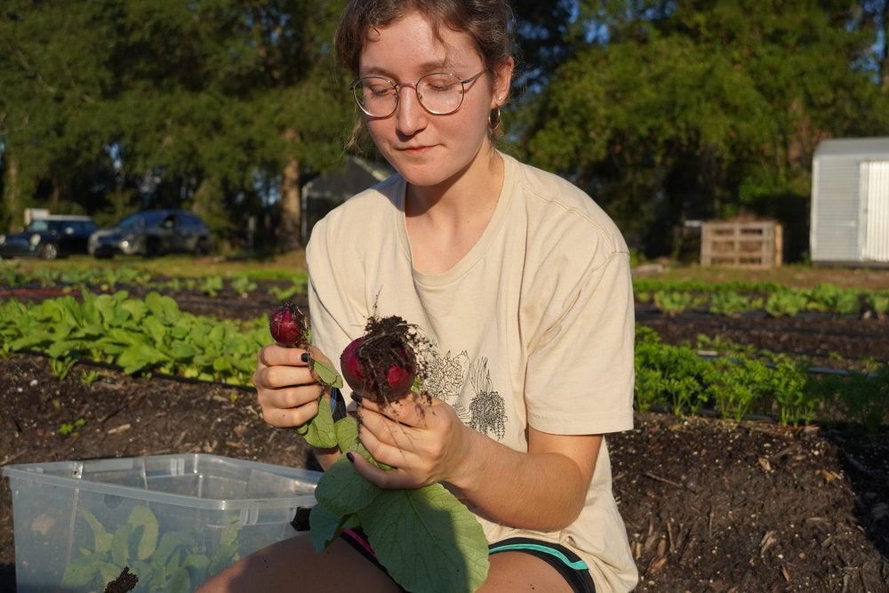 A woman holds freshly picked beets