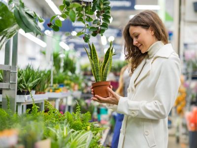 A smiling woman in a store holds a potted snake plant