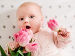 A baby holding pink tulips