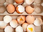 Many empty brown eggshells in an egg carton