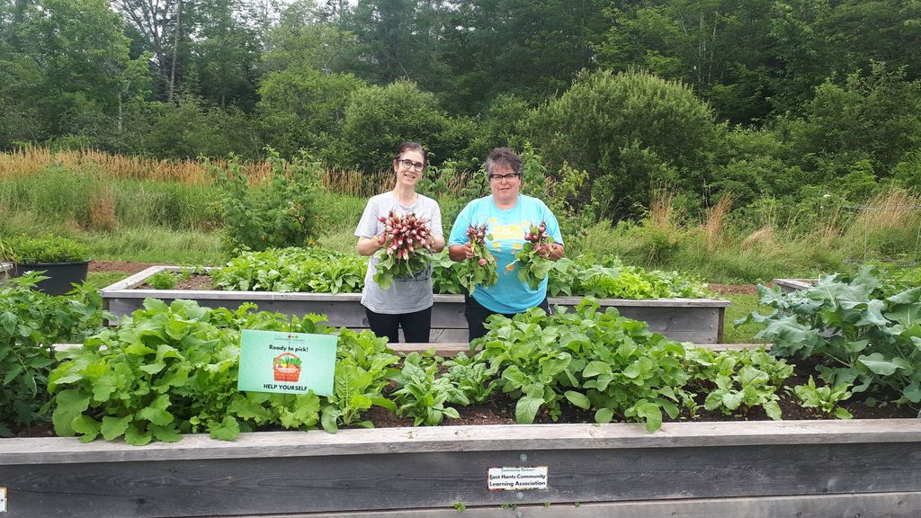 Two smiling women hold radishes among raised garden beds