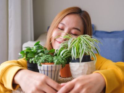 A smiling woman hugs four small potted plants