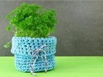Parsley in a pot wrapped in blue crochet