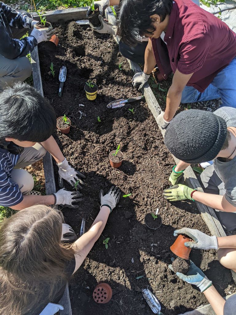 Many people planting in a raised garden bed