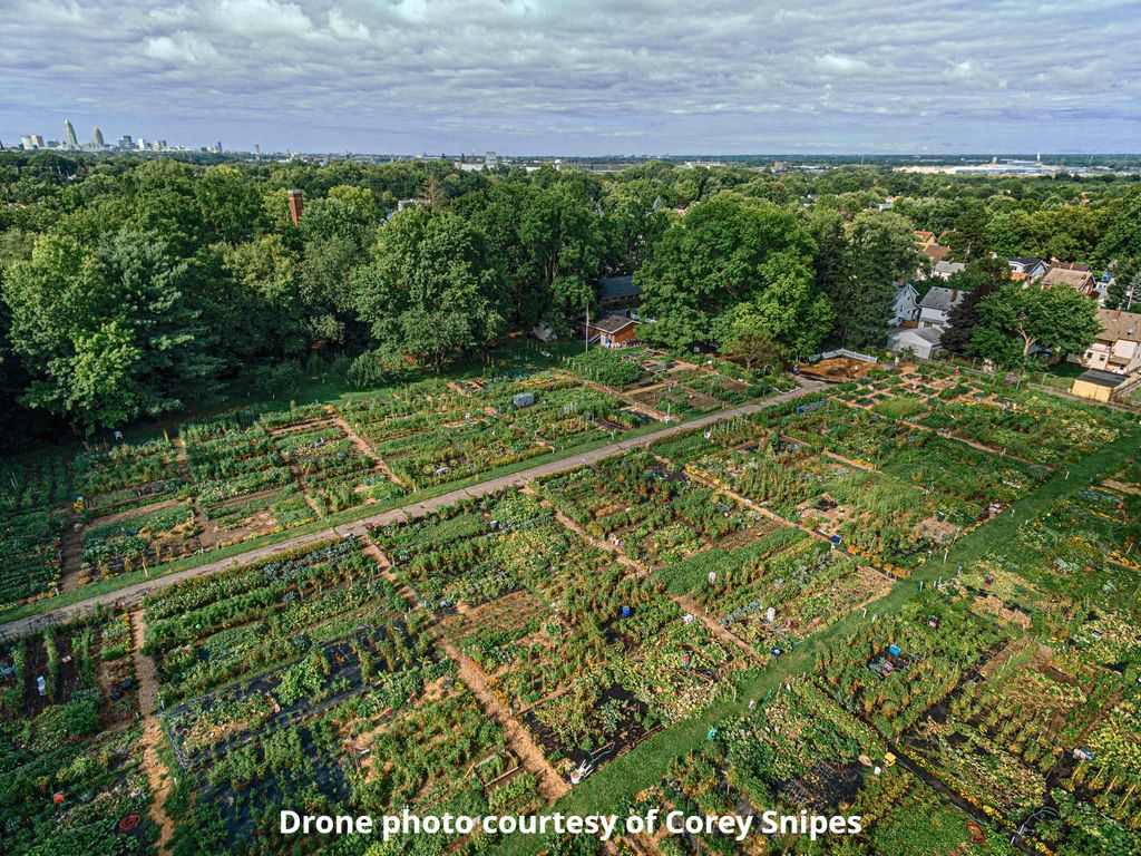 An aerial view of a community garden
