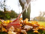 A person raking fall leaves