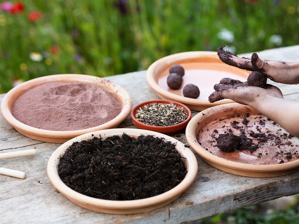 Woman is making seed bombs on a wooden table, using compost and clay powder, with a flower field in the background