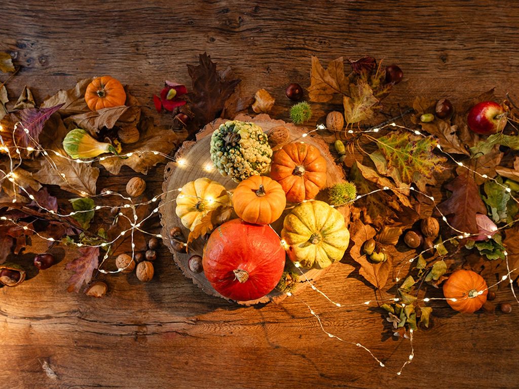 Directly above view of an oak wood table decorated for a delightful thanksgiving evening, the table is adorned with twinkling fairy lights and rustic pumpkins